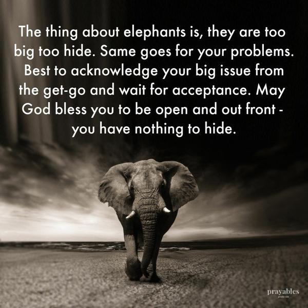 The thing about elephants is, they are too big too hide. Same goes for your problems. Best to acknowledge your big issue from the get-go and wait for acceptance. May God
bless you to be open and out front – you have nothing to hide.