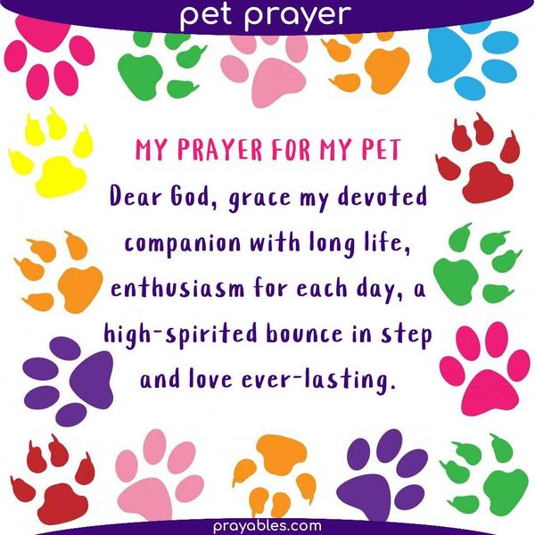 My prayer for my pet. Dear God, grace my devoted companion with long life, enthusiasm for each day, a high-spirited bounce in step, and love ever-lasting.