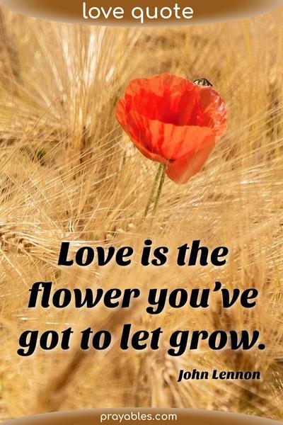 Love is the flower you’ve got to let grow. John Lennon