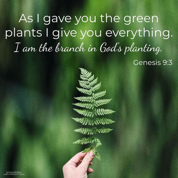 Genesis 9:3  As I gave you the green plants, I give you everything. I am the branch in God's planting.