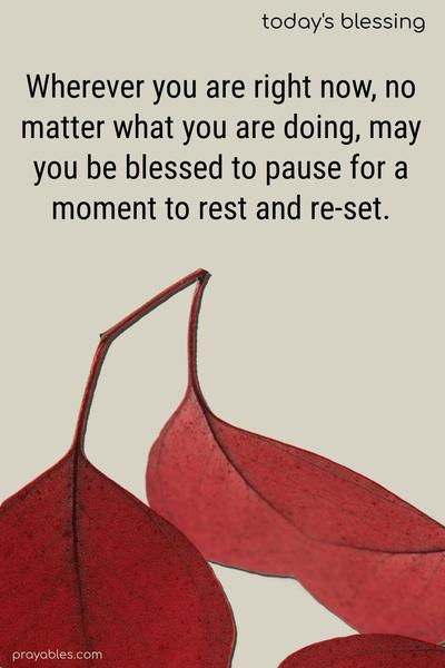 Wherever you are right now, no matter what you are doing, may you be blessed to pause for a moment to rest and re-set.