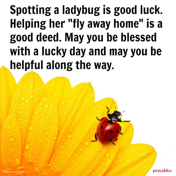 Spotting a ladybug is good luck. Helping her “fly away home” is a good deed. May you be blessed with a lucky day and may you be helpful along the way.