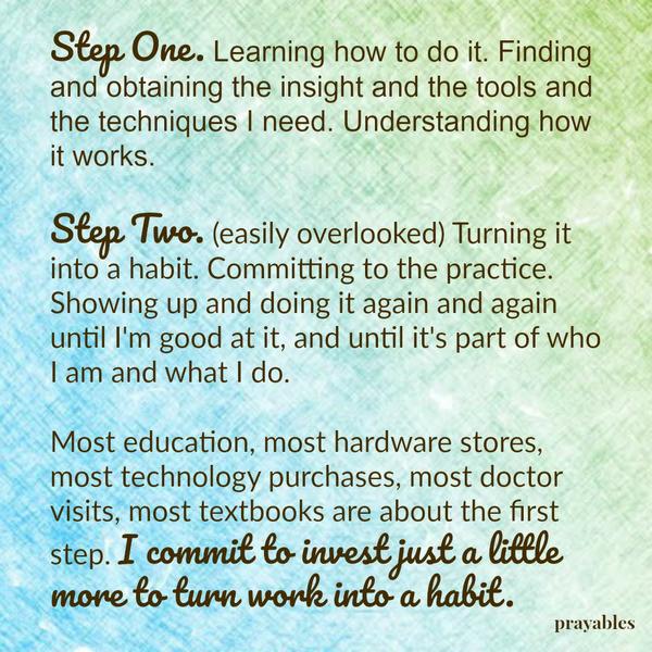 Step One. Learning how to do it. Finding and obtaining the insight and the tools and the techniques I need. Understanding how it works. Step Two. (easily overlooked) Turning it into a habit. Committing to the practice. Showing up
and doing it again and again until I’m good at it, and until it’s part of who I am and what I do. Most education, most hardware stores, most technology purchases, most doctor visits, most textbooks are about the first step. I commit to invest just a little more to turn work into a habit.