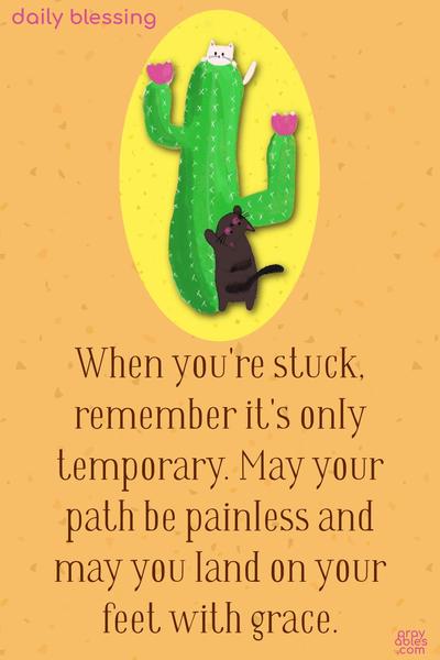 When you’re stuck, remember it’s only temporary. May your path be painless and may you land on your feet with grace.