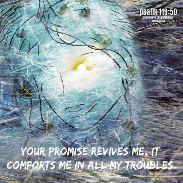 Psalm 119:50 Your promise revives me, it comforts me in all my troubles