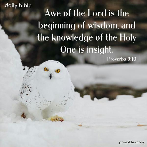 Awe of the Lord is the beginning of wisdom, and the knowledge of the Holy One is insight. Proverbs 9:10