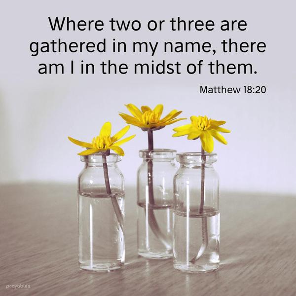 Matthew 18:20 Where two or three are gathered in my name, there am I in the midst of them. 