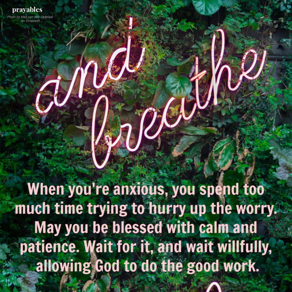 When you’re anxious, you can spend too much time trying to hurry up the worry. May you be blessed with calm and patience. Wait for it, and wait willfully, allowing God to do the good work.