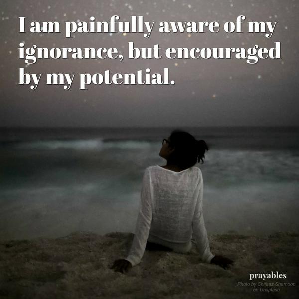 I am painfully aware of my ignorance, but encouraged by my potential.