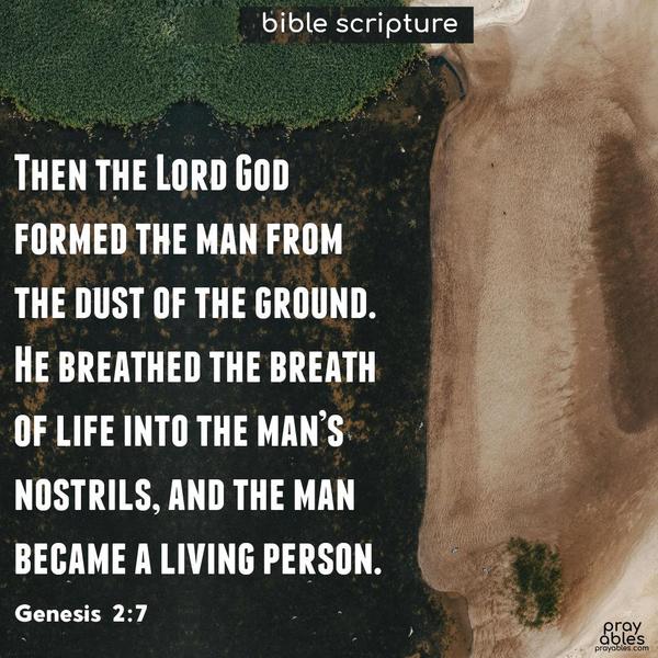 Then the Lord God formed the man from the dust of the ground. He breathed the breath of life into the man’s nostrils, and the man became a living person. Genesis 2:7