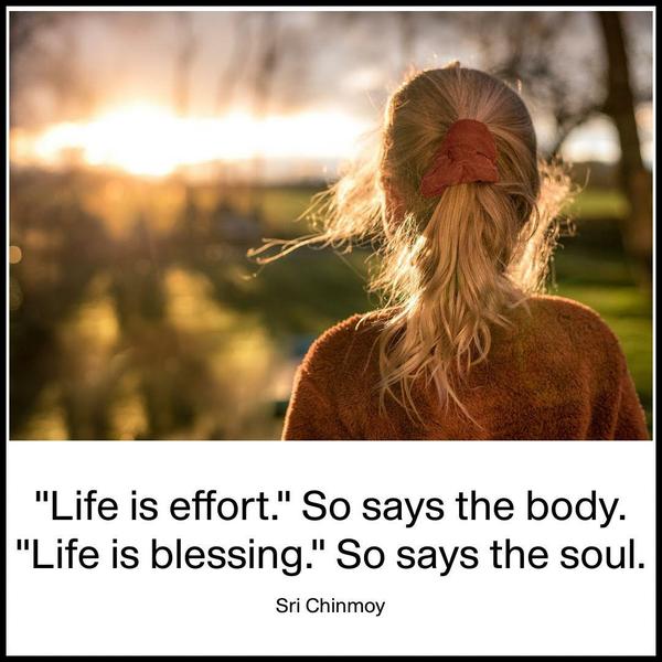 “Life is effort.” So says the body. “Life is blessing.” So says the soul. Sri Chinmoy