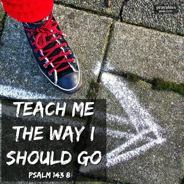 Psalm 143:8 Teach me the way I should go.