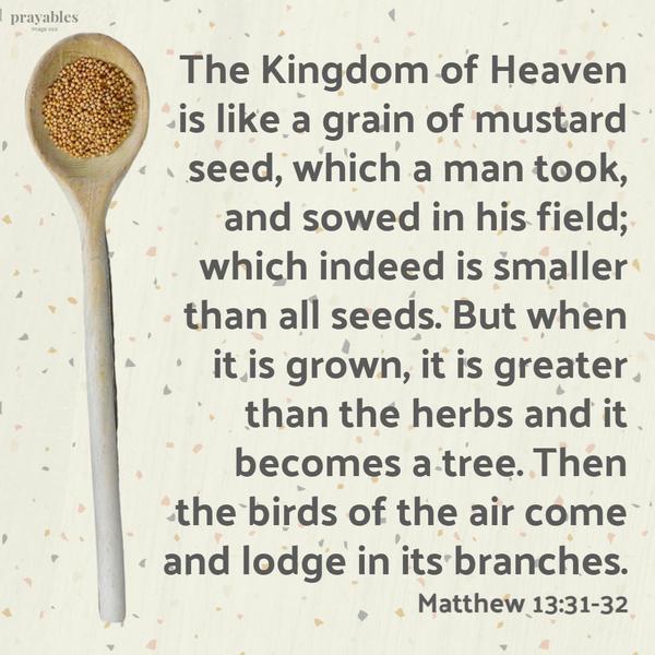 Matthew 13:21-32 The Kingdom of Heaven is like a grain of mustard seed, which a man took, and sowed in his field; which indeed is smaller than all seeds. But when it is
grown, it is greater than the herbs, and becomes a tree, so that the birds of the air come and lodge in its branches.