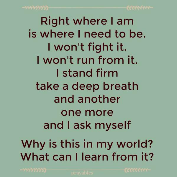 Right where I am  is where I need to be. I won't fight it. I won't run from it. I stand firm take a deep breath and another one more and I ask myself  Why is this in my world? What can I learn from it?