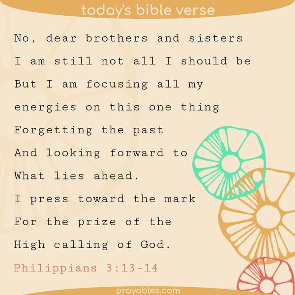 Philippians 3:13-14 No, dear brothers and sisters, I am still not all I should be, but I am focusing all my energies on this one thing: Forgetting the past and looking forward
to what lies ahead. I press toward the mark for the prize of the high calling of God.