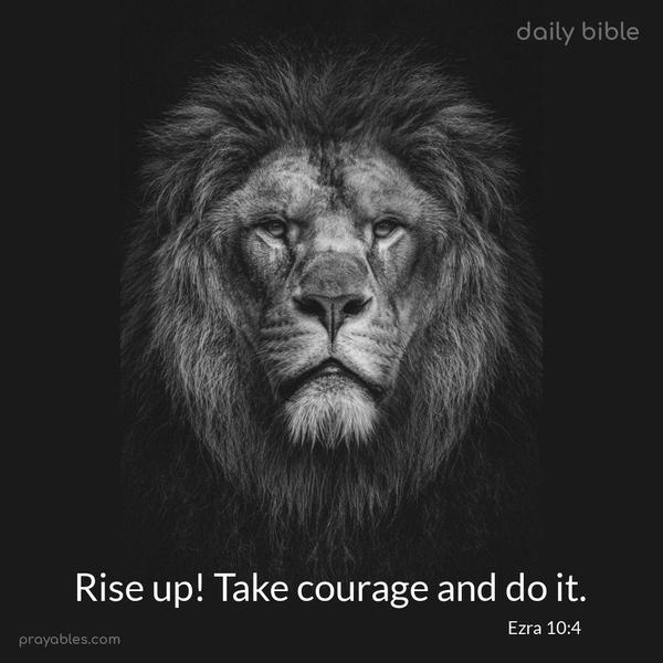 Rise up! Take courage and do it. Ezra 10:4