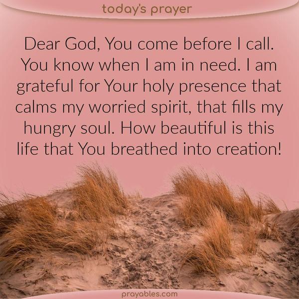 Dear God, You come before I call. You know when I am in need. I am grateful for Your holy presence that calms my worried spirit, that fills my hungry soul. How beautiful is
this life that You breathed into creation!