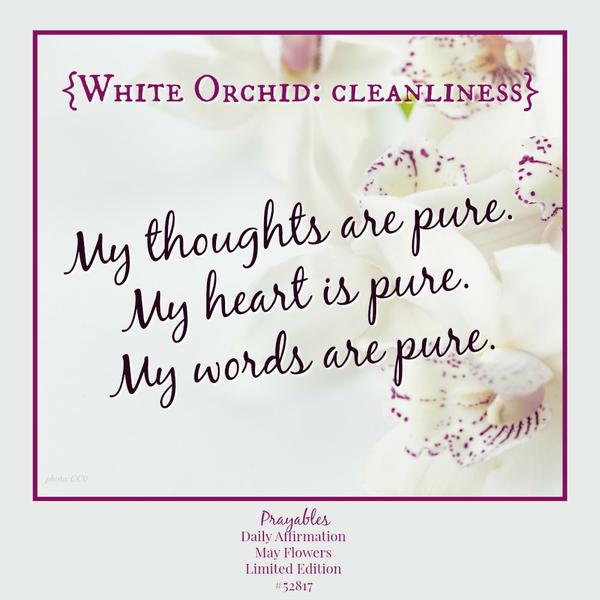 My thoughts are pure, my heart is pure, my words are pure.