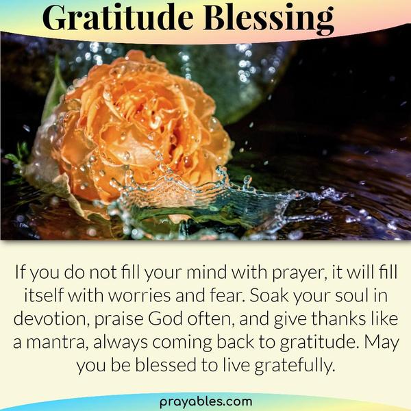 If you do not fill your mind with prayer, it will fill itself with worries and fear. Soak your soul in devotion, praise God often, and give thanks like a mantra, always coming
back to gratitude. May you be blessed to live gratefully.