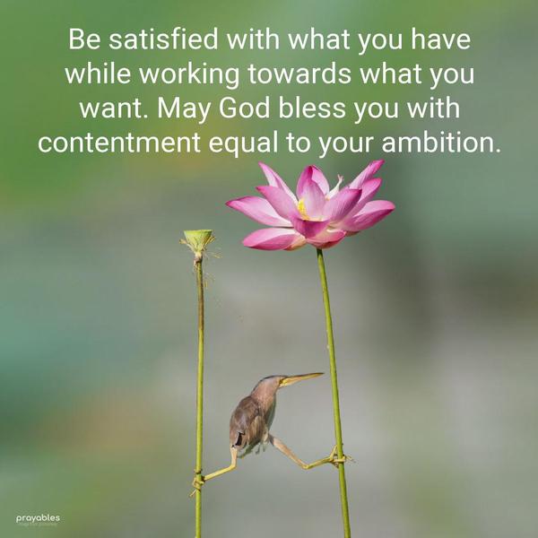 Be satisfied with what you have while working towards what you want. May God bless you with contentment equal to your ambition.