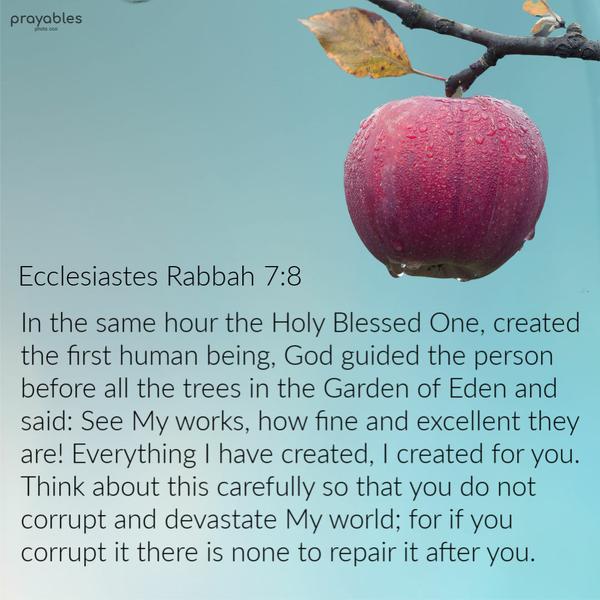 Ecclesiastes Rabbah 7:8 In the same hour the Holy Blessed One, created the first human being, God guided the person before all the trees in the Garden of Eden and said: See
My works, how fine and excellent they are! Everything I have created, I created for you. Think about this carefully so that you do not corrupt and devastate My world; for if you corrupt it there is none to repair it after you.