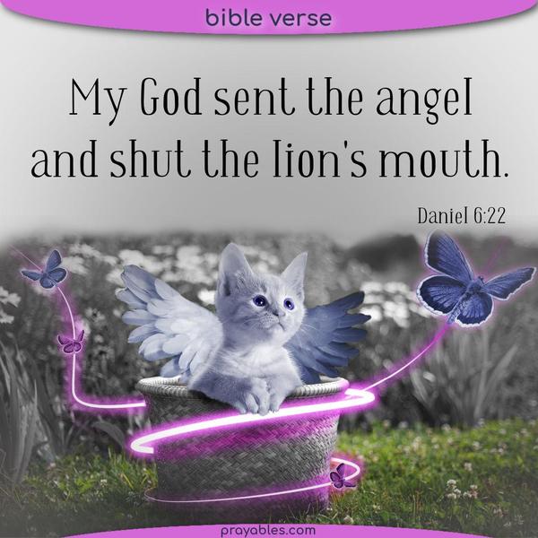 Daniel 6:22 My God sent the angel and shut the lion's mouth.