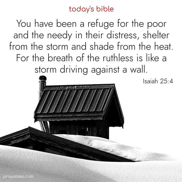 You have been a refuge for the poor and needy in their distress, shelter from the storm, and a shade from the heat. For the breath of the ruthless is like a storm driving against a wall. Isaiah 25:4