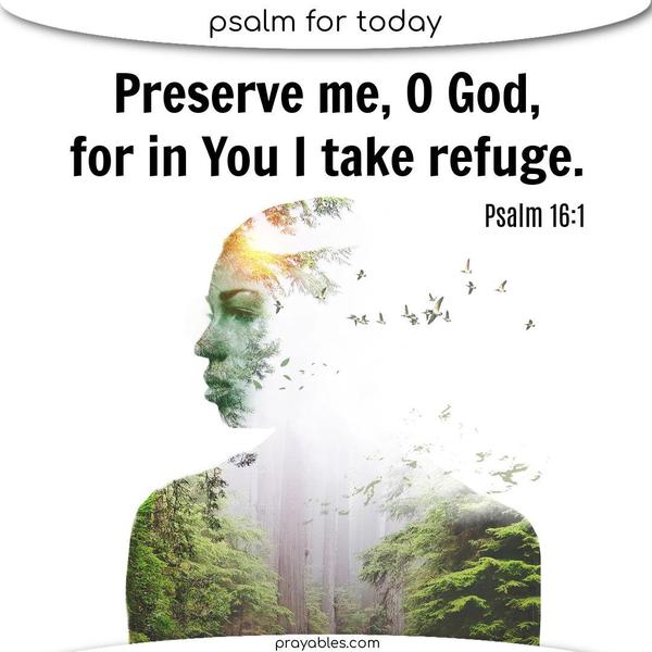 Psalm 16:1 Preserve me, O God, for in You I take refuge.
