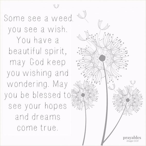 Some see a weed you see a wish. You have a beautiful spirit, may God keep you wishing and wondering. May you be blessed to see your hopes and dreams come true.