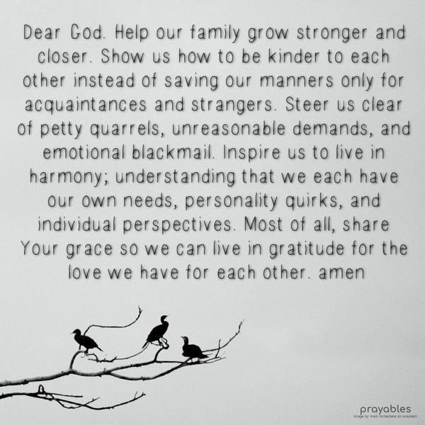 Dear God. Help our family grow stronger and closer. Show us how to be kinder to each other instead of saving our manners only for acquaintances and strangers. Steer us clear of petty
quarrels, unreasonable demands, and emotional blackmail. Inspire us to live in harmony; understanding that we each have our own needs, personality quirks, and individual perspectives. Most of all, share Your grace so we can live in gratitude for the love we have for each other. amen