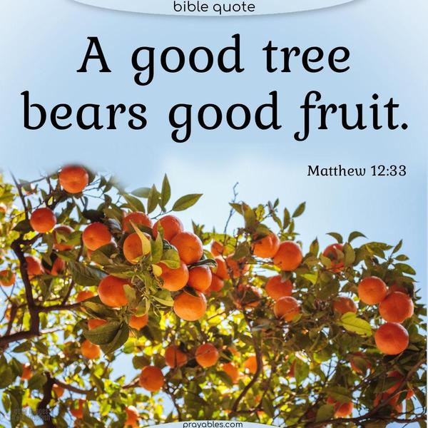 A good tree bears good fruit. Matthew 12:33