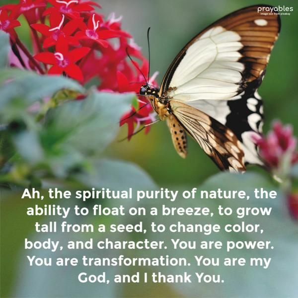 Ah, the spiritual purity of nature, the ability to float on a breeze, to grow tall from a seed, to change color, body, and character. You are power. You are transformation.
You are my God, and I thank You.