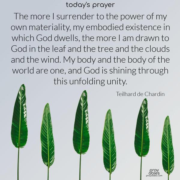 The more I surrender to the power of my own materiality, my embodied existence in which God dwells, the more I am drawn to God in the leaf and the tree and the clouds and the wind. My body and the body of the world are one, and God is shining through this unfolding unity. Teilhard de Chardin