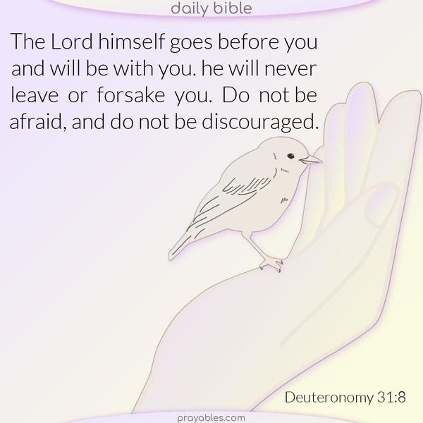 The Lord himself goes before you and will be with you; he will never leave or forsake you. Do not be afraid, and do not be discouraged. Deuteronomy 31:8