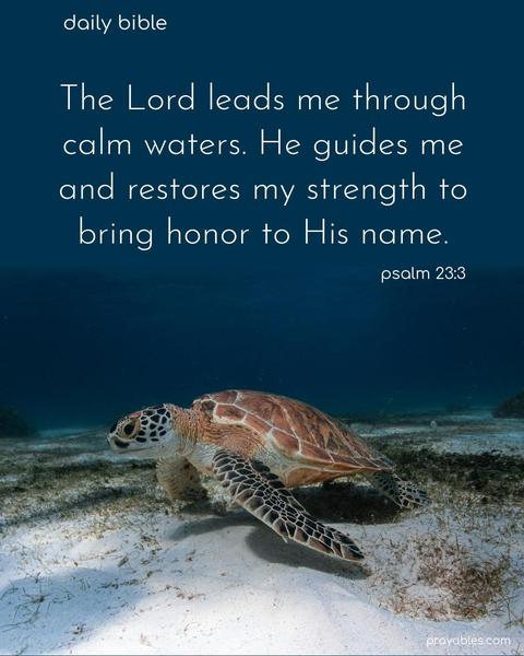 The Lord leads me through calm waters. He guides me and restores my strength to bring honor to His name. Psalm 23:3