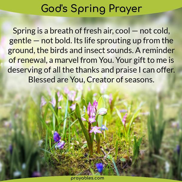 Spring is a breath of fresh air, cool — not cold, gentle — not bold. It's life sprouting up from the ground, the birds and insect sounds. A
reminder of renewal, a marvel from You. Your gift to me is deserving of all the thanks and praise I can offer. Blessed are You, Creator of seasons.