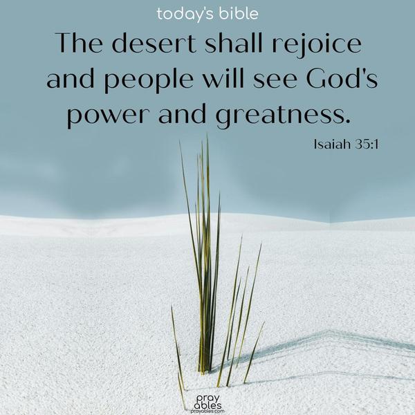 The desert shall rejoice and people will see God’s power and greatness. Isaiah 35:1