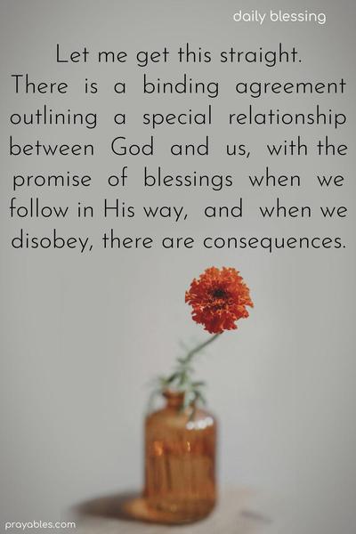 Let me get this straight. There is a binding agreement outlining a special relationship between God and us, with the promise of blessings for obedience and consequences when we disobey.