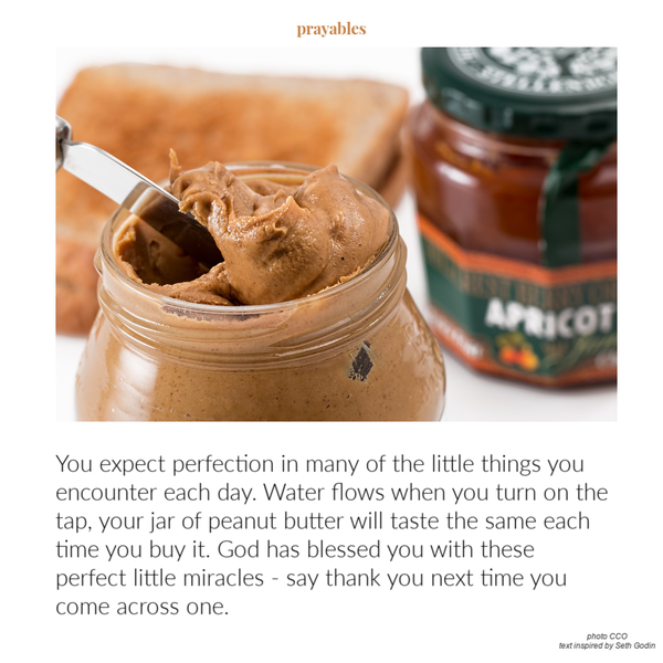 You expect perfection in many of the little things you encounter each day. Water flows when you turn on the tap, your jar of peanut butter will taste the same each time you buy it. God has blessed you with perfect little miracles like this
– say thank you next time you come across one.