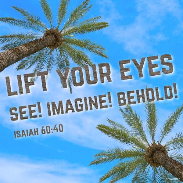 Isaiah 60:40 Lift your eyes, see, imagine, behold!