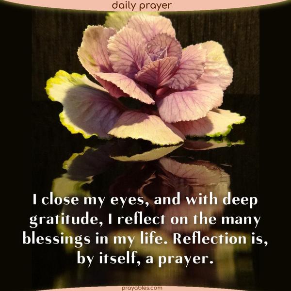I close my eyes, and with deep gratitude, I reflect on the many blessings in my life. Reflection is, by itself, a prayer.
