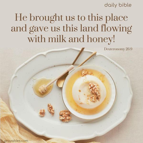 He brought us to this place and gave us this land flowing with milk and honey! Deuteronomy 26:9