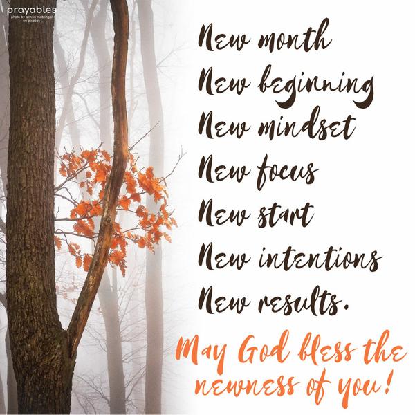 New month, a new beginning, new mindset, new focus, new start, new intentions, new results. May God bless the newness of you!