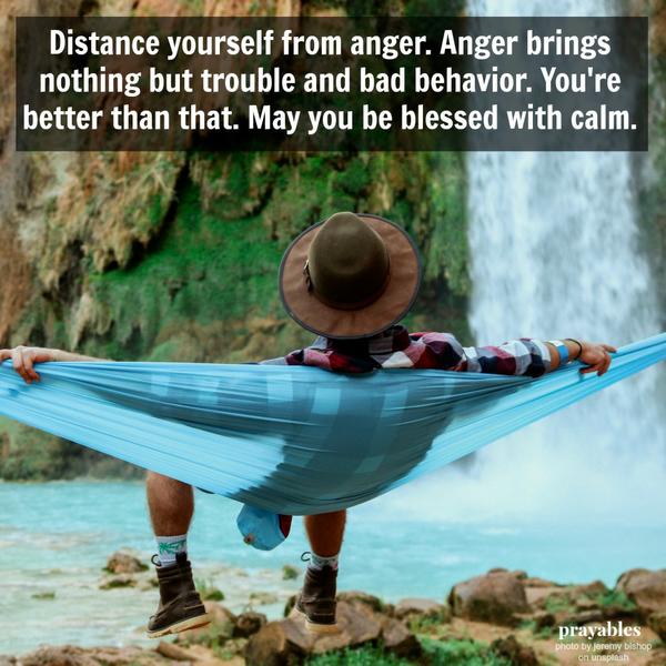 Distance yourself from anger. Anger brings nothing but trouble and bad behavior. You’re better than that. May you be blessed with calm.