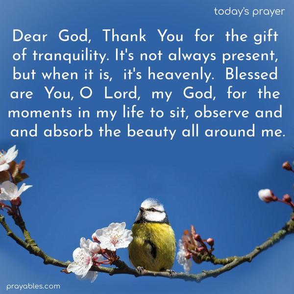 Dear God, Thank You for the gift of tranquility. It's not always present, but when it is, it's heavenly. Blessed are You, O Lord, my God, for the moments in my life to sit, observe, and absorb the beauty all around me.