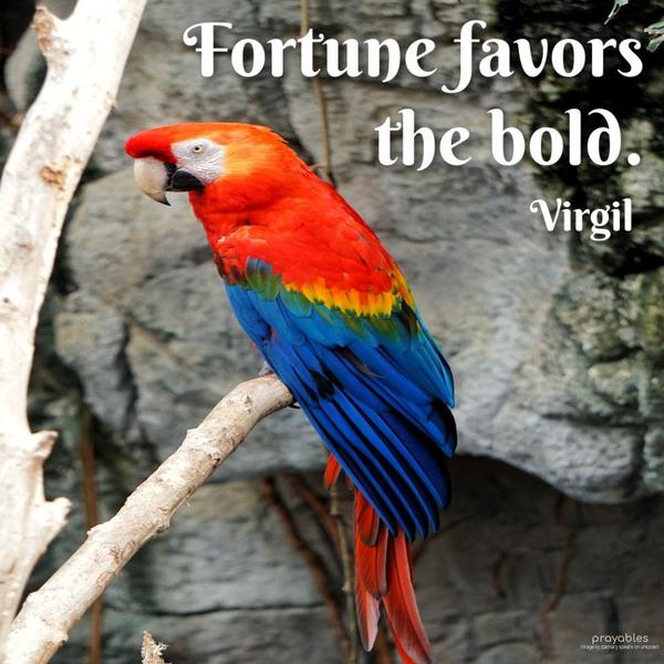 Fortune favors the bold. Virgil