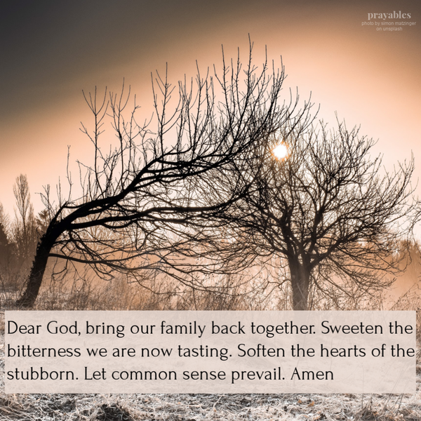 Dear God, bring our family back together. Sweeten the bitterness we are now tasting. Soften the hearts of the stubborn. Let common sense prevail. Amen