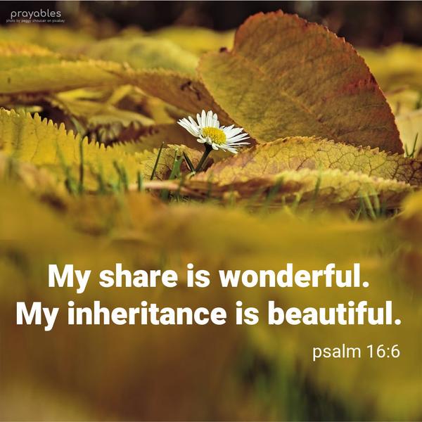 My share is wonderful. My heritage is beautiful. Psalm 16:6