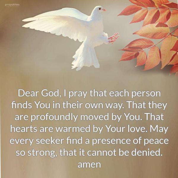 Dear God, I pray that each person finds You in their own way. That they are profoundly moved by You. That hearts are warmed by Your love. May every seeker
find a presence of peace so strong, that it cannot be denied. Amen