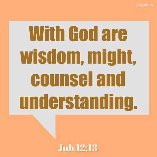 Job 12:13 With God are wisdom, might, counsel and understanding.